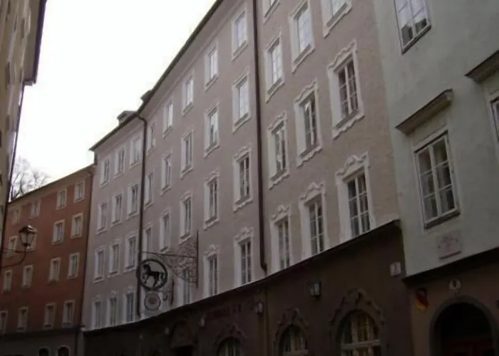 Schwarzes Roessl *